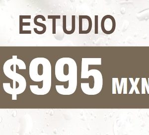 Membresía Estudio — $995 MXN / mes