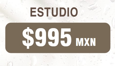 Membresía Estudio — $995 MXN / mes